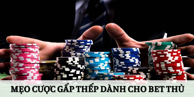 Một số mẹo cược gấp thếp dành cho bet thủ